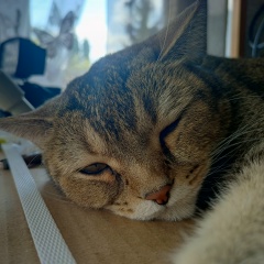 Avatar of user undefined